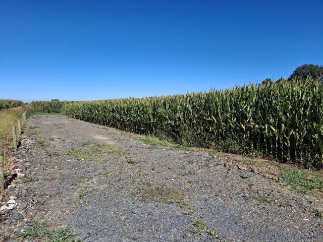 No 1 Road Springdale_3