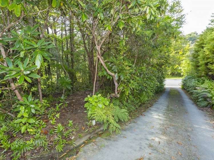 1 Freemans Way Pinehaven_9