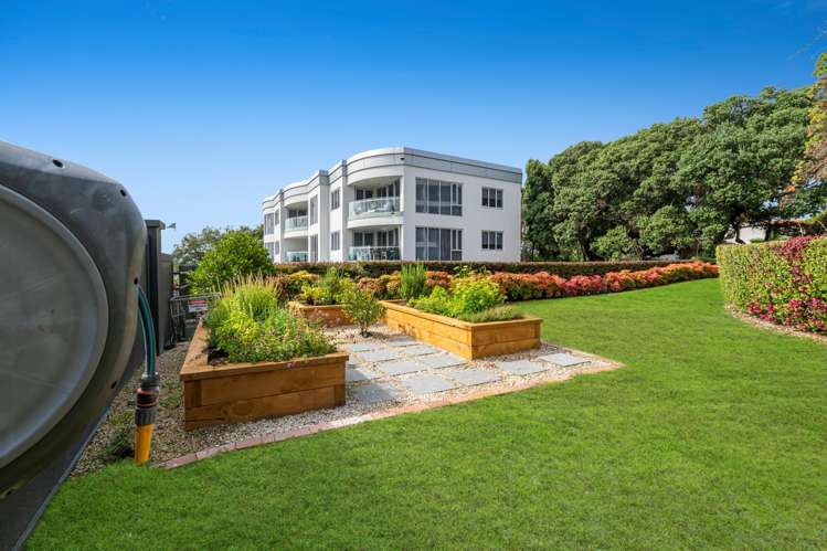 1B/5 The Promenade Takapuna_19