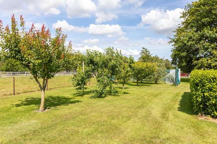 69 Sowry Road Woodville_28