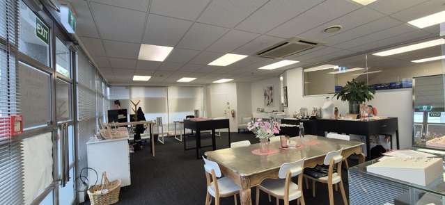 11 Leslie Hills Drive Riccarton_2