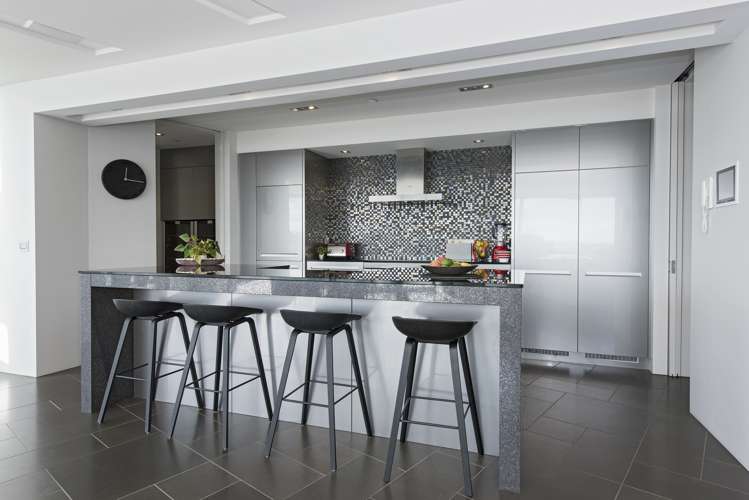 28 Darwin Lane Remuera_7