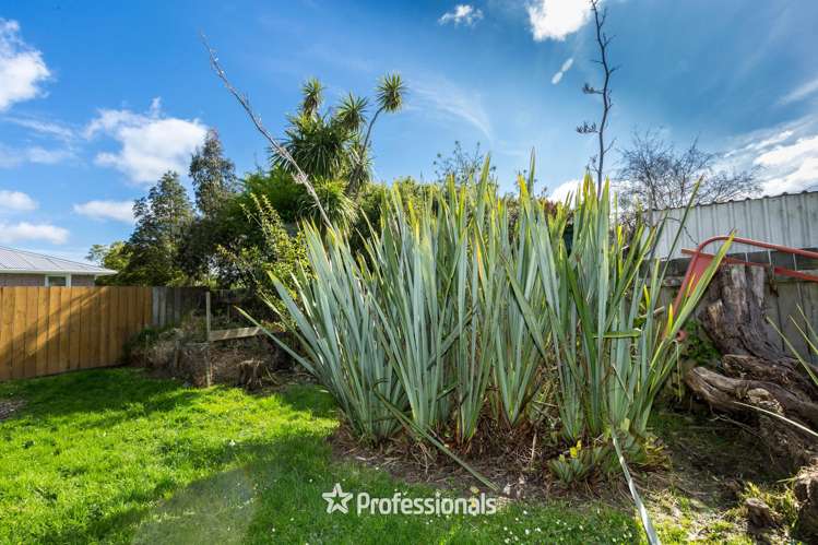 40 Moeraki Road Maoribank_23