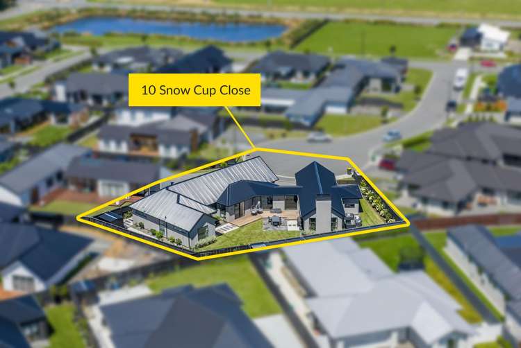 10 Snow Cup Close Lincoln_50