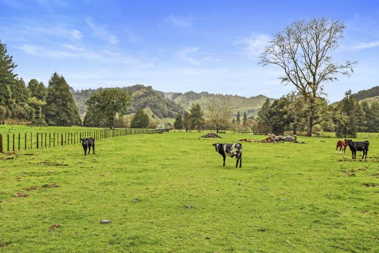 496 Waikaka Road Waimiha-Ongarue_25