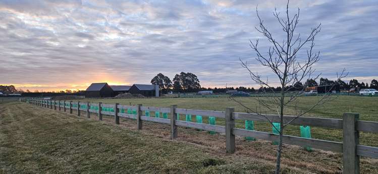 13 Meadowlands Green Allenton_3