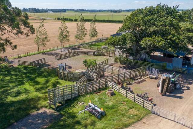 1397 Makino Road Halcombe_4