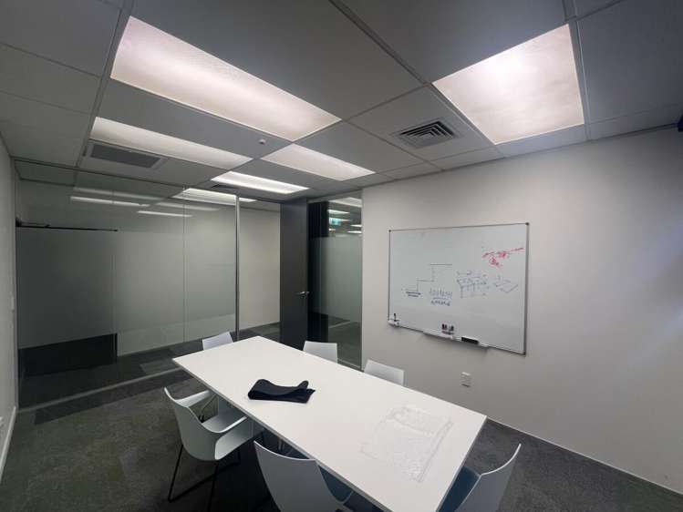 5 Wilkins Street Freemans Bay_10