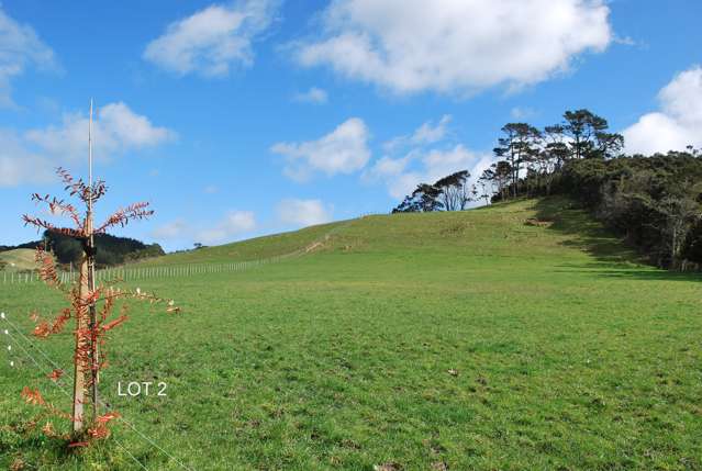 29 Zanders Road Helensville_3