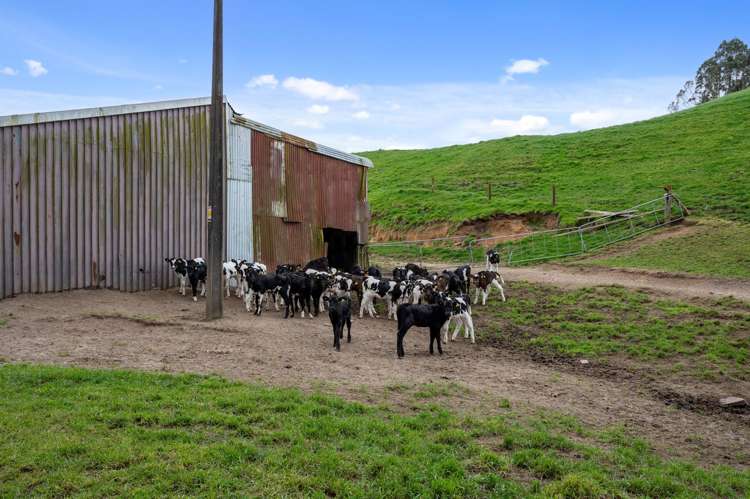 2253 State Highway 30 Atiamuri_20