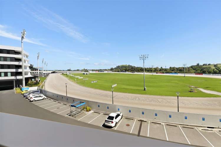 111/223A Green Lane West_0