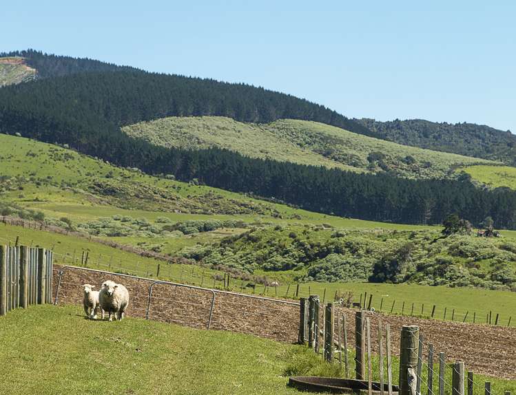 32 Hull Road Te Kohanga_8