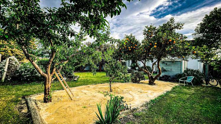 707 Massey Street Akina_22