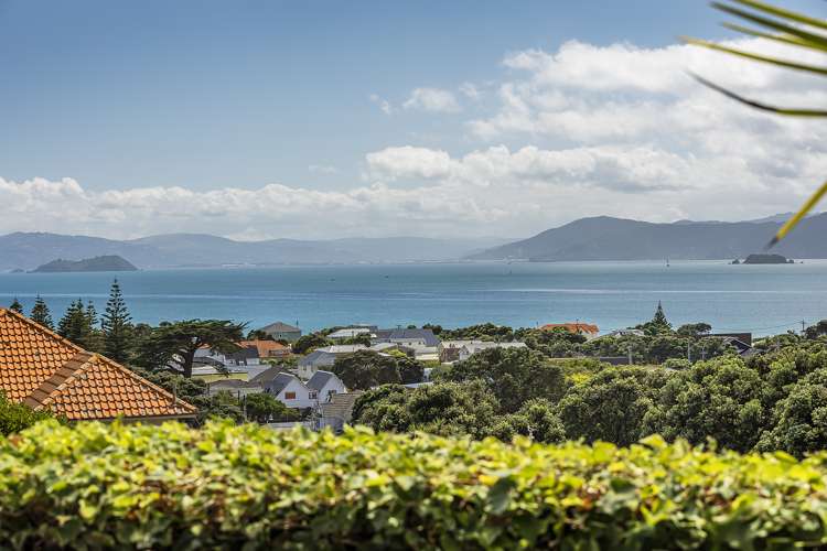 76a Falkirk Avenue Seatoun_22