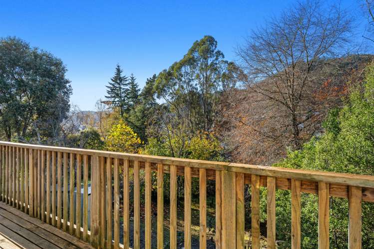 39 Thompson Terrace Toi Toi_16