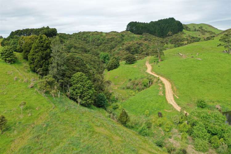 40 Cogswell Road Raglan_33