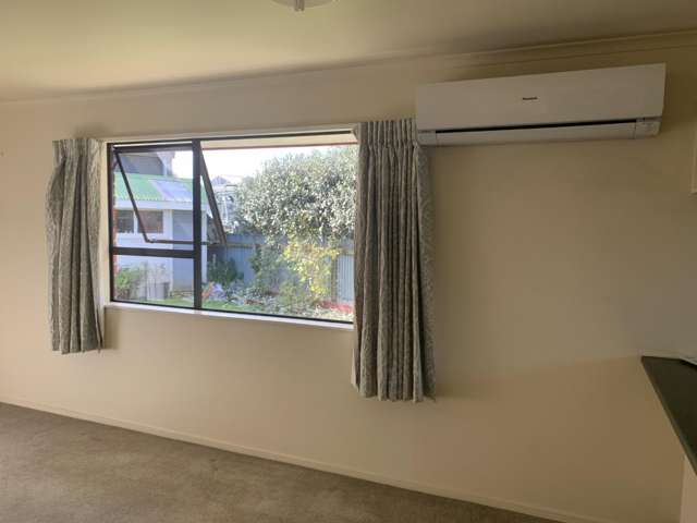 8 Hammond Street Bulls_2