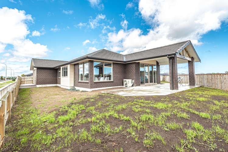 4 Morrell Street Tawhero_18