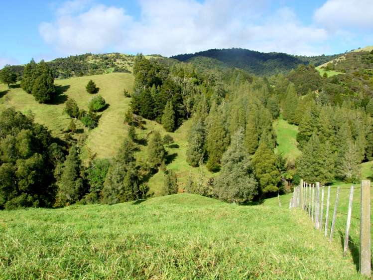 185 Takahue Saddle Road Takahue_20
