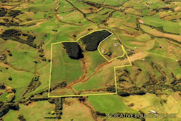 136 Valley Road Waitoki_5