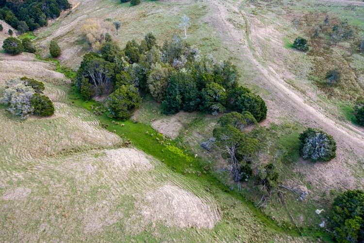 215 Allen And Eyre Road Onewhero_12