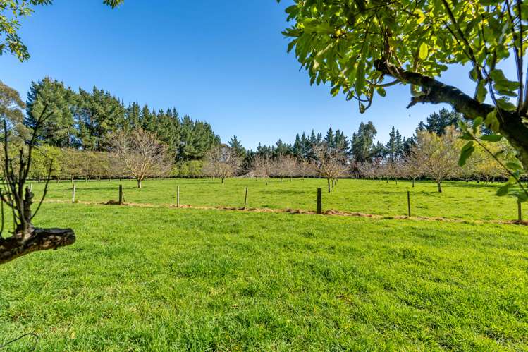 180 Paierau Road Opaki_19