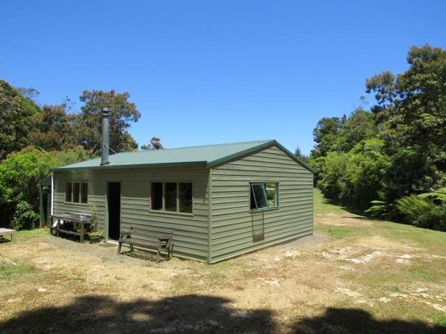 540 Edward Street Coromandel_3