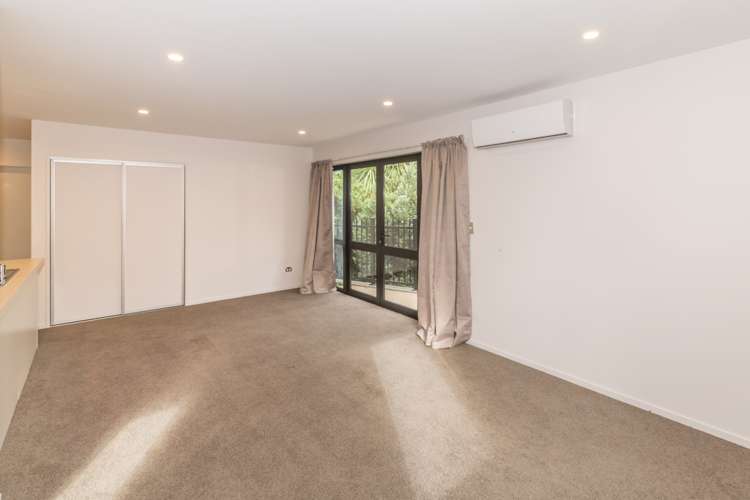 1 Cameron Street Sydenham_5