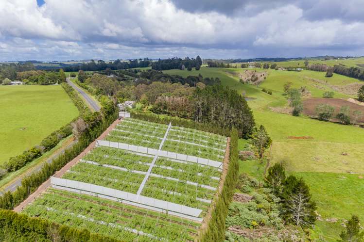 Pungaere Road Kerikeri Surrounds_3