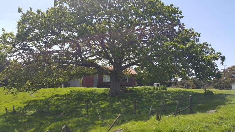 3763 State Highway 12 Taheke_11