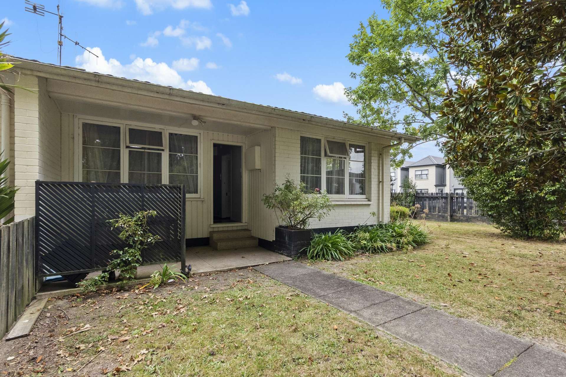 120C Firth Street Hamilton East_0