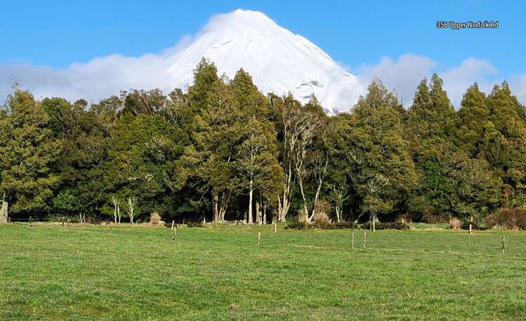 354 + 356 Norfolk Road Inglewood_23