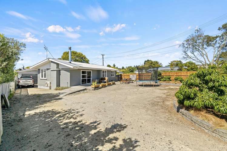 11 Flower Street Bulls_16