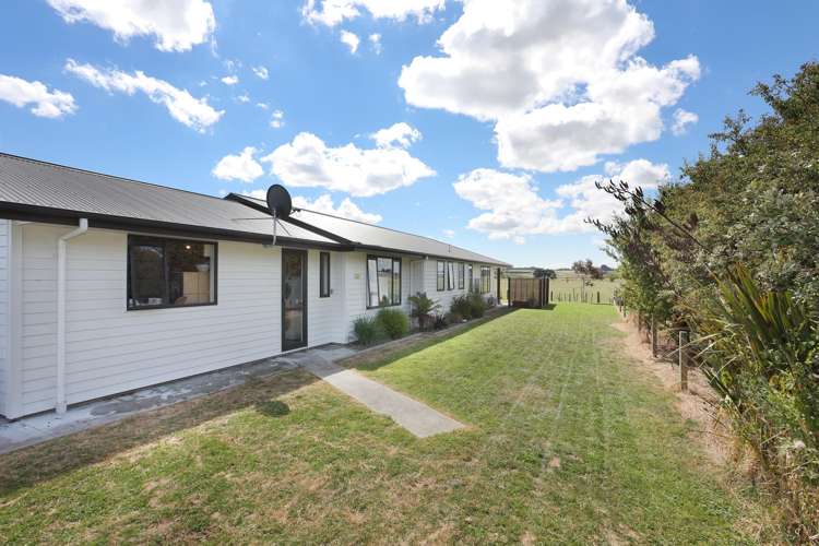 6 George Street Bulls_23