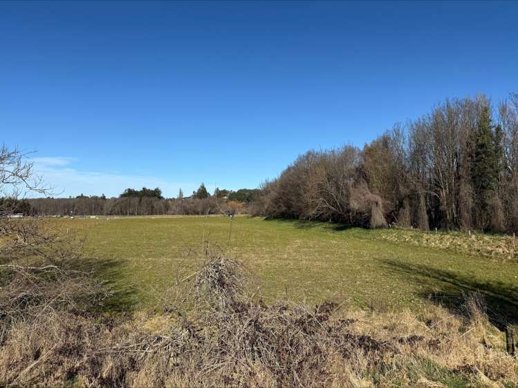 65 Woodbury Road Geraldine_8