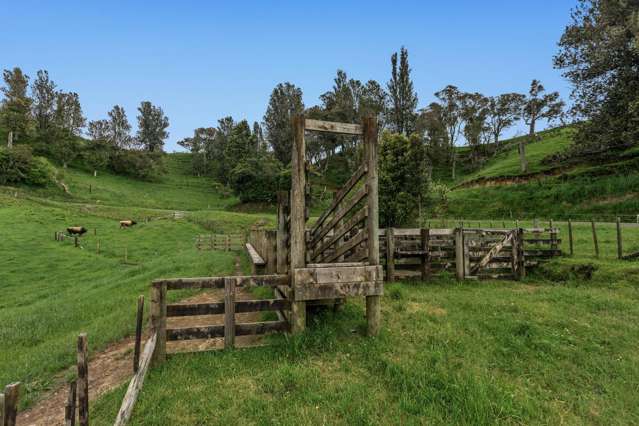 26 Settlement Road Pikowai_4