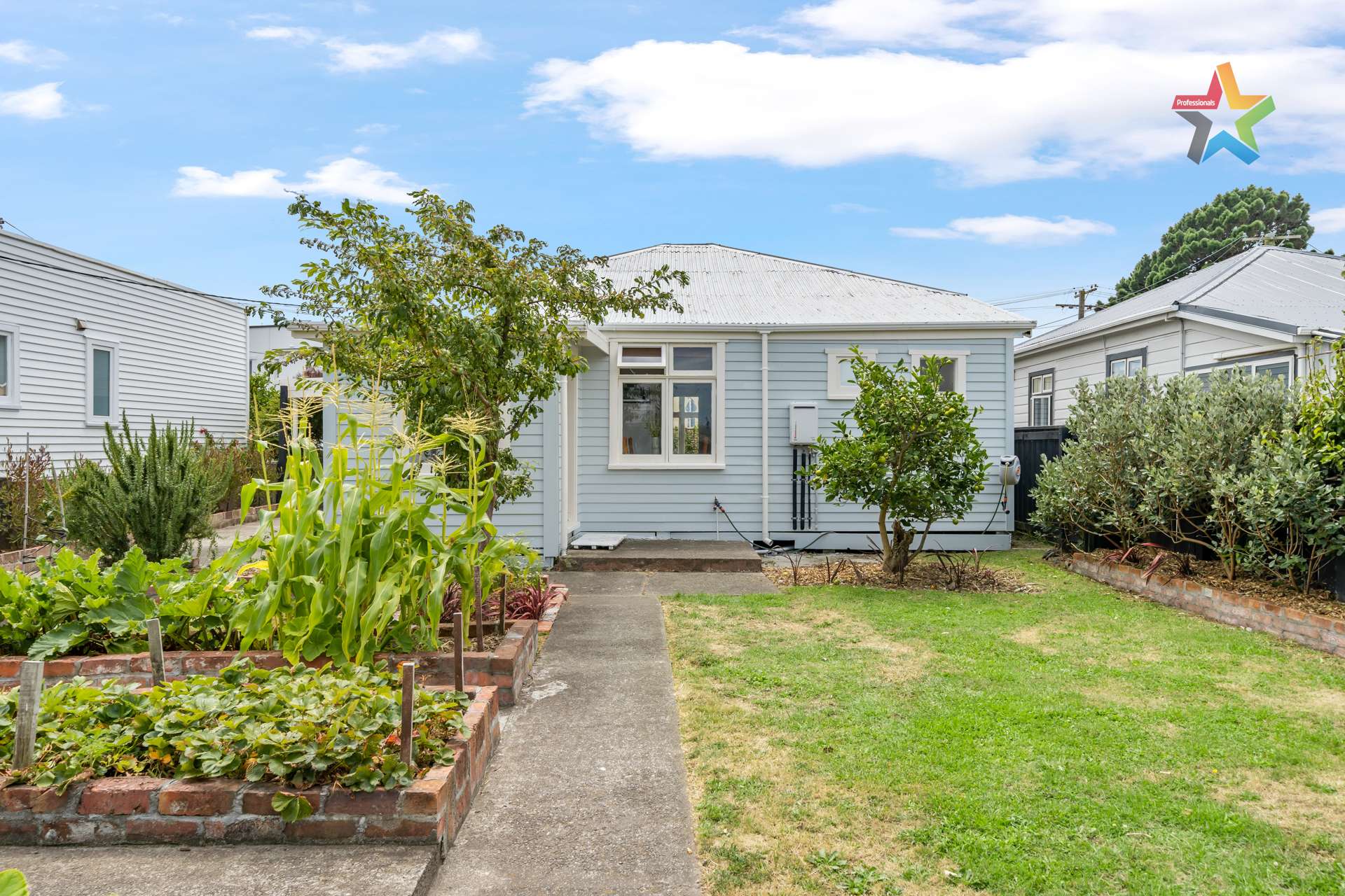 9 East Street Petone_0