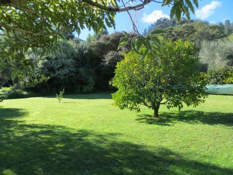 16 Puriri Street Te Aroha_20