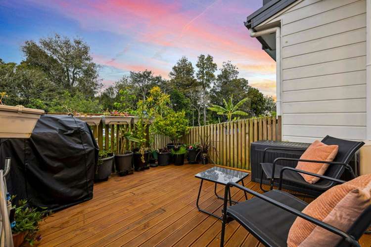 17 Dishys Road Flat Bush_7