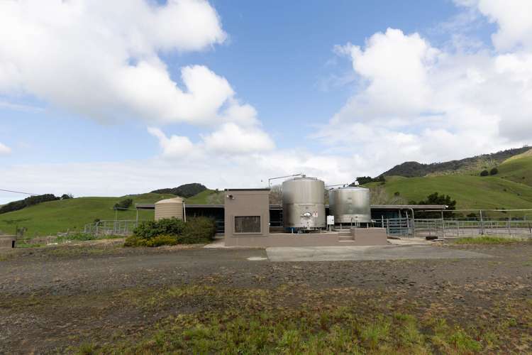 1557 Waihue Road Dargaville Surrounds_9