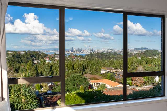 38 Balmain Road Chatswood_4