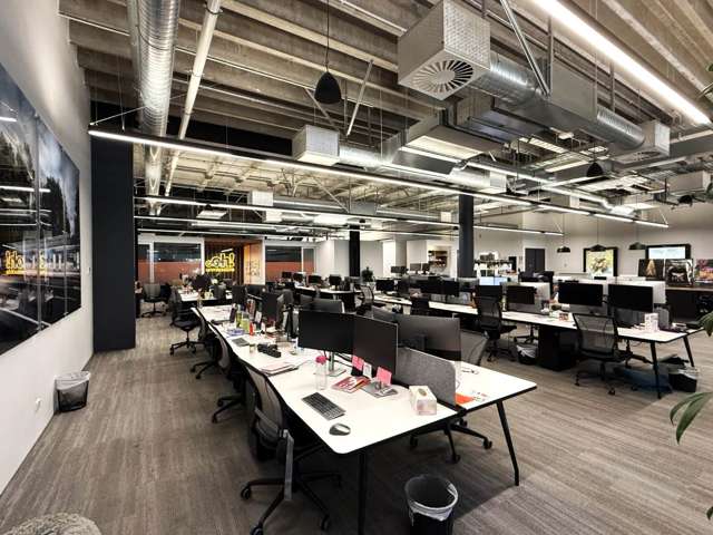 22 Pollen Street Grey Lynn_3