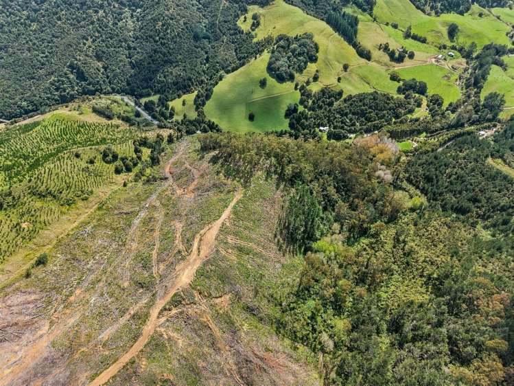 Lot 5 Fern Flat Road Peria_3