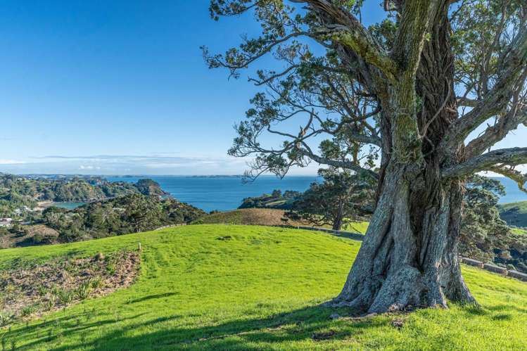 13 Lots Wawata Estate, Waiheke Island_5