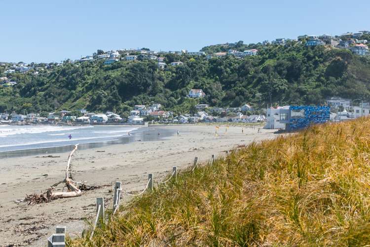 1/102 Lyall Parade Lyall Bay_18