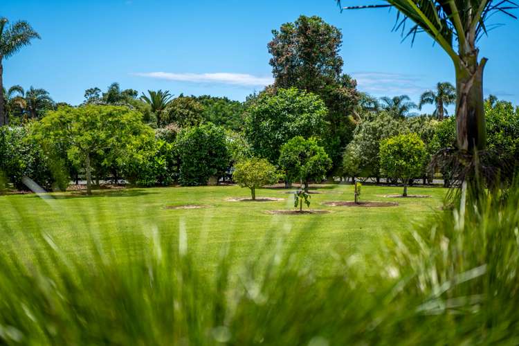 18 Karaka Drive Kerikeri_19