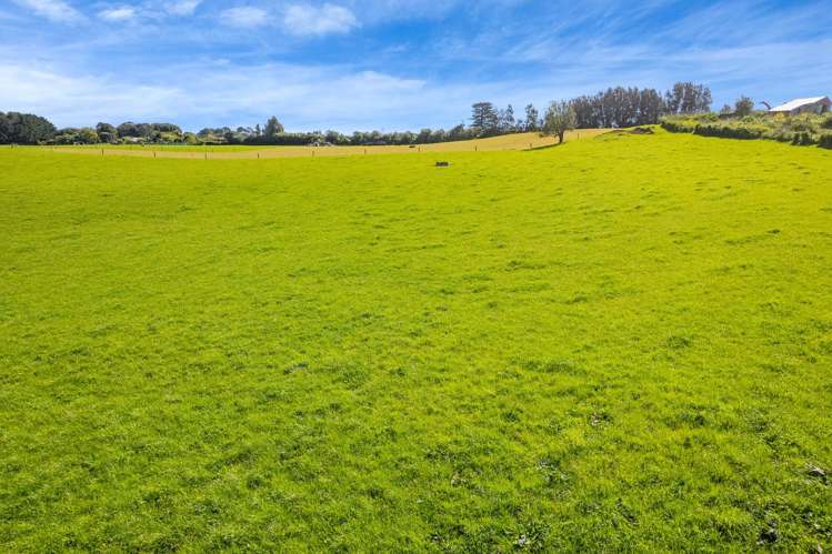 226 Pukearuhe Road Mimi_19