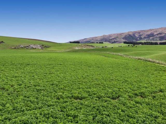 8727 Hyde-Middlemarch Road Hyde_3