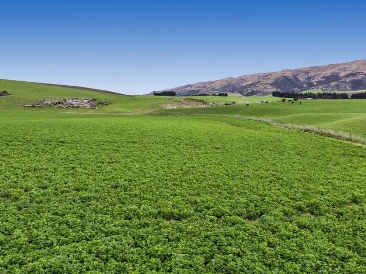 8727 Hyde-Middlemarch Road Hyde_3