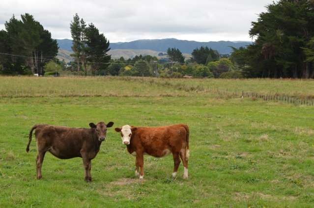 40 Bright Street Eketahuna_2